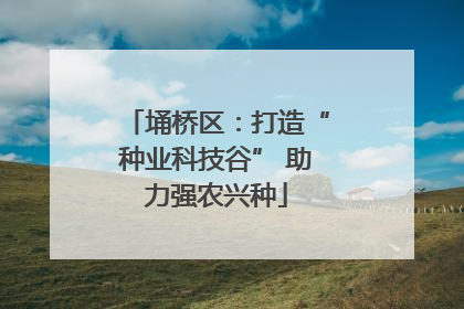 埇桥区：打造“种业科技谷” 助力强农兴种