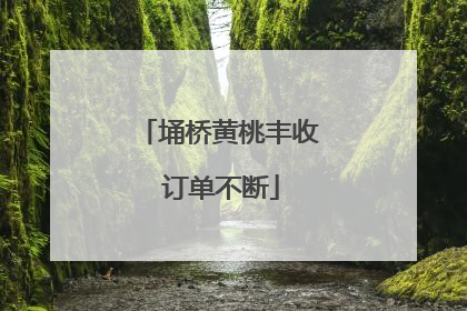 埇桥黄桃丰收 订单不断