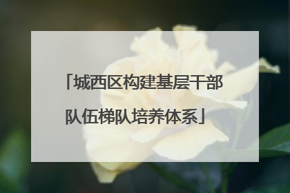 城西区构建基层干部队伍梯队培养体系