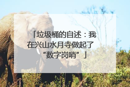 垃圾桶的自述：我在兴山水月寺做起了“数字岗哨”