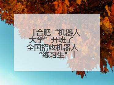 合肥“机器人大学”开班了 全国招收机器人“练习生”