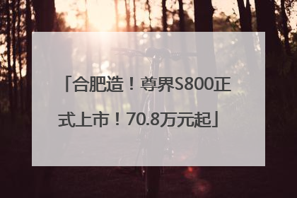 合肥造！尊界S800正式上市！70.8万元起