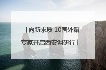 向新求质 10国外籍专家开启西安调研行