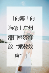 向海！向海③丨广州港口经济释放“乘数效应”