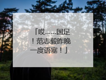 哎……国足！范志毅昨晚一度语塞！