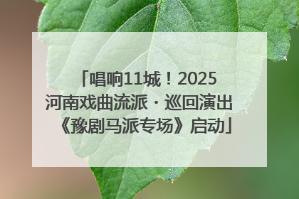 唱响11城！2025河南戏曲流派・巡回演出《豫剧马派专场》启动