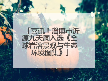 喜讯！淄博市沂源九天洞入选《全球岩溶景观与生态环境图集》