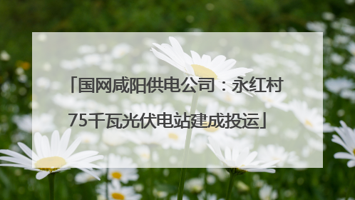 国网咸阳供电公司：永红村75千瓦光伏电站建成投运