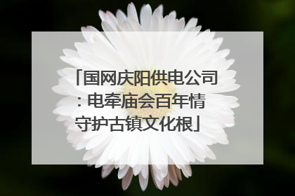 国网庆阳供电公司：电牵庙会百年情 守护古镇文化根