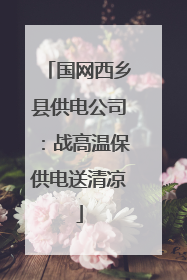 国网西乡县供电公司：战高温保供电送清凉