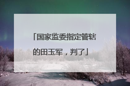 国家监委指定管辖的田玉军，判了