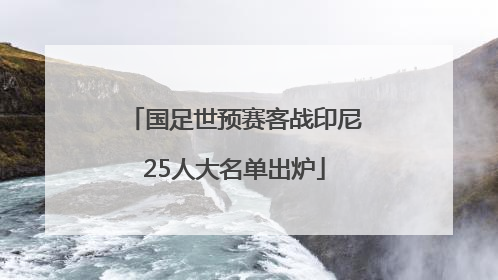 国足世预赛客战印尼25人大名单出炉