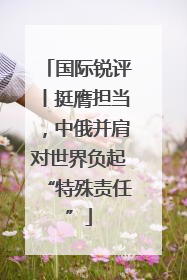 国际锐评丨挺膺担当，中俄并肩对世界负起“特殊责任”