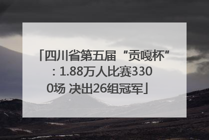 四川省第五届“贡嘎杯”：1.88万人比赛3300场 决出26组冠军