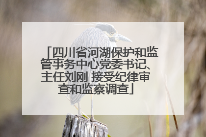 四川省河湖保护和监管事务中心党委书记、主任刘刚 接受纪律审查和监察调查