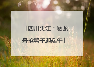 四川夹江：赛龙舟抢鸭子迎端午