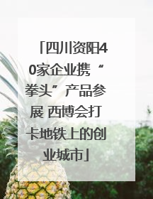 四川资阳40家企业携“拳头”产品参展 西博会打卡地铁上的创业城市