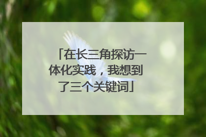 在长三角探访一体化实践，我想到了三个关键词