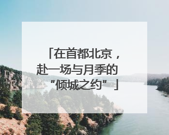 在首都北京，赴一场与月季的“倾城之约”