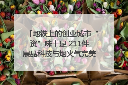 地铁上的创业城市“资”味十足 211件展品科技与烟火气完美融合｜西博视界