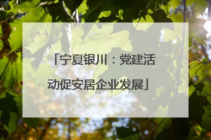 宁夏银川：党建活动促安居企业发展