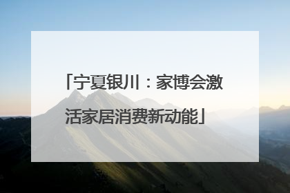 宁夏银川：家博会激活家居消费新动能