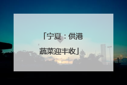 宁夏：供港蔬菜迎丰收