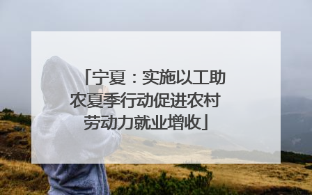 宁夏：实施以工助农夏季行动促进农村劳动力就业增收
