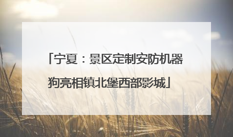 宁夏：景区定制安防机器狗亮相镇北堡西部影城