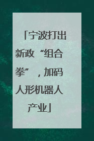 宁波打出新政“组合拳”，加码人形机器人产业