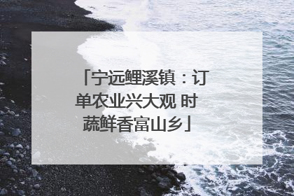 宁远鲤溪镇：订单农业兴大观 时蔬鲜香富山乡