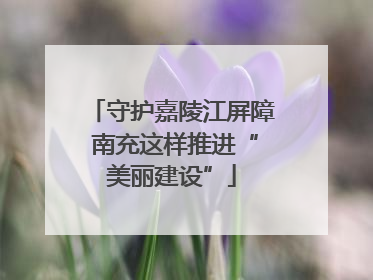 守护嘉陵江屏障 南充这样推进“美丽建设”