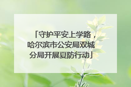 守护平安上学路，哈尔滨市公安局双城分局开展夏防行动