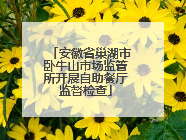 安徽省巢湖市卧牛山市场监管所开展自助餐厅监督检查