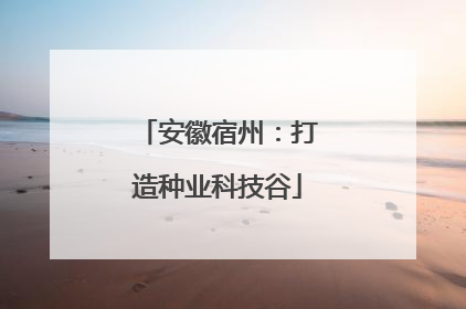 安徽宿州：打造种业科技谷