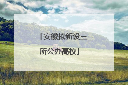 安徽拟新设三所公办高校