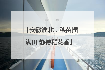 安徽淮北：秧苗插满田 静待稻花香