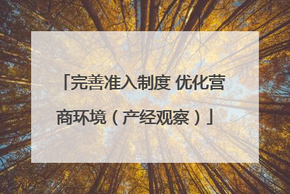 完善准入制度 优化营商环境（产经观察）