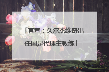官宣：久尔杰维奇出任国足代理主教练