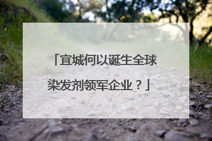 宜城何以诞生全球染发剂领军企业？