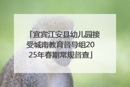 宜宾江安县幼儿园接受城南教育督导组2025年春期常规督查