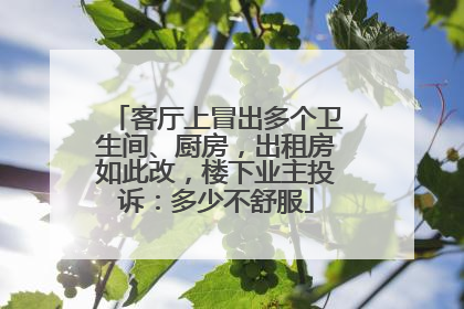 客厅上冒出多个卫生间、厨房，出租房如此改，楼下业主投诉：多少不舒服