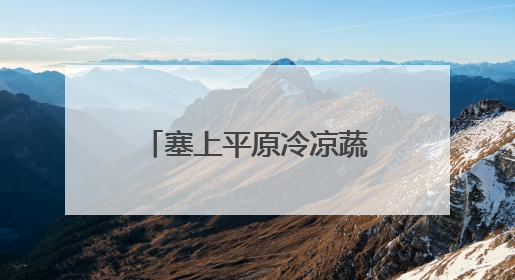 塞上平原冷凉蔬菜进入采收旺季