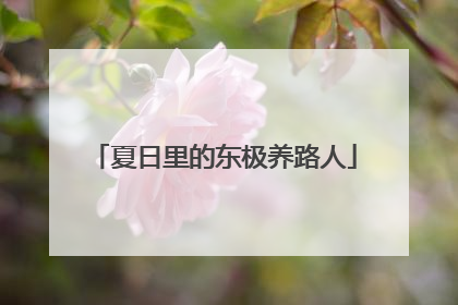 夏日里的东极养路人