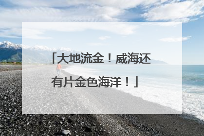 大地流金！威海还有片金色海洋！
