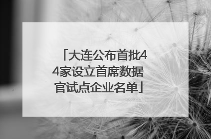 大连公布首批44家设立首席数据官试点企业名单