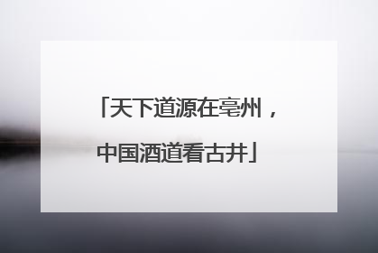 天下道源在亳州，中国酒道看古井