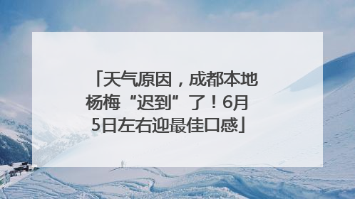 天气原因，成都本地杨梅“迟到”了！6月5日左右迎最佳口感