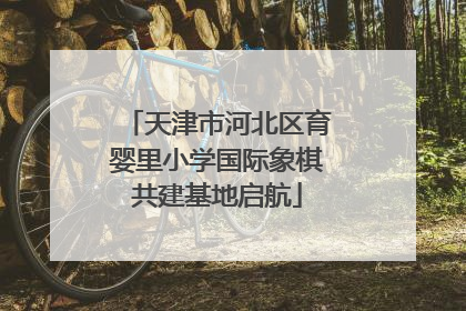 天津市河北区育婴里小学国际象棋共建基地启航