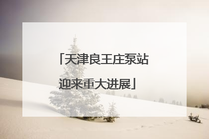 天津良王庄泵站迎来重大进展